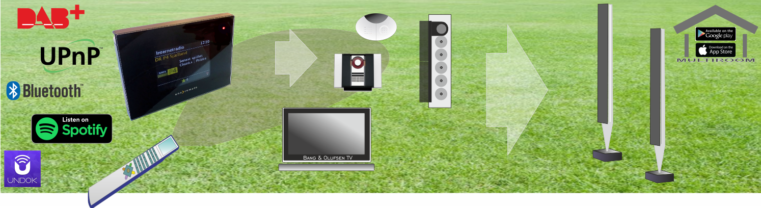 DAB+, Internet Radio og meget mere til Bang & Olufsen Radio eller TV