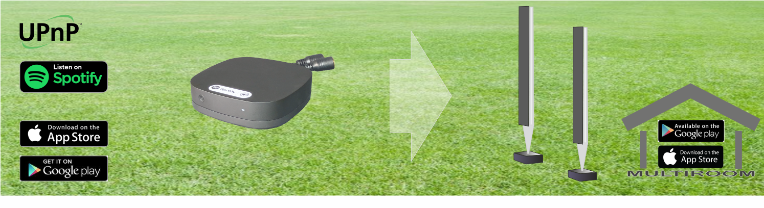 Internet Radio og Spotify til Bang & Olufsen HØJTTALERE